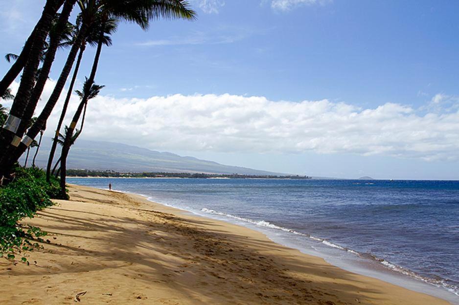 Kealia Resort 203 Kihei Bagian luar foto