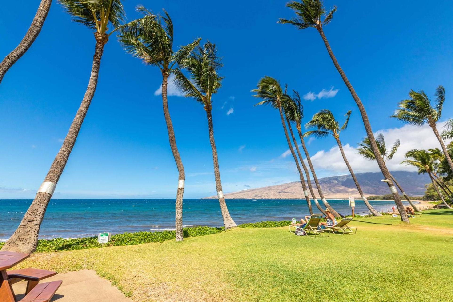 Kealia Resort 203 Kihei Bagian luar foto