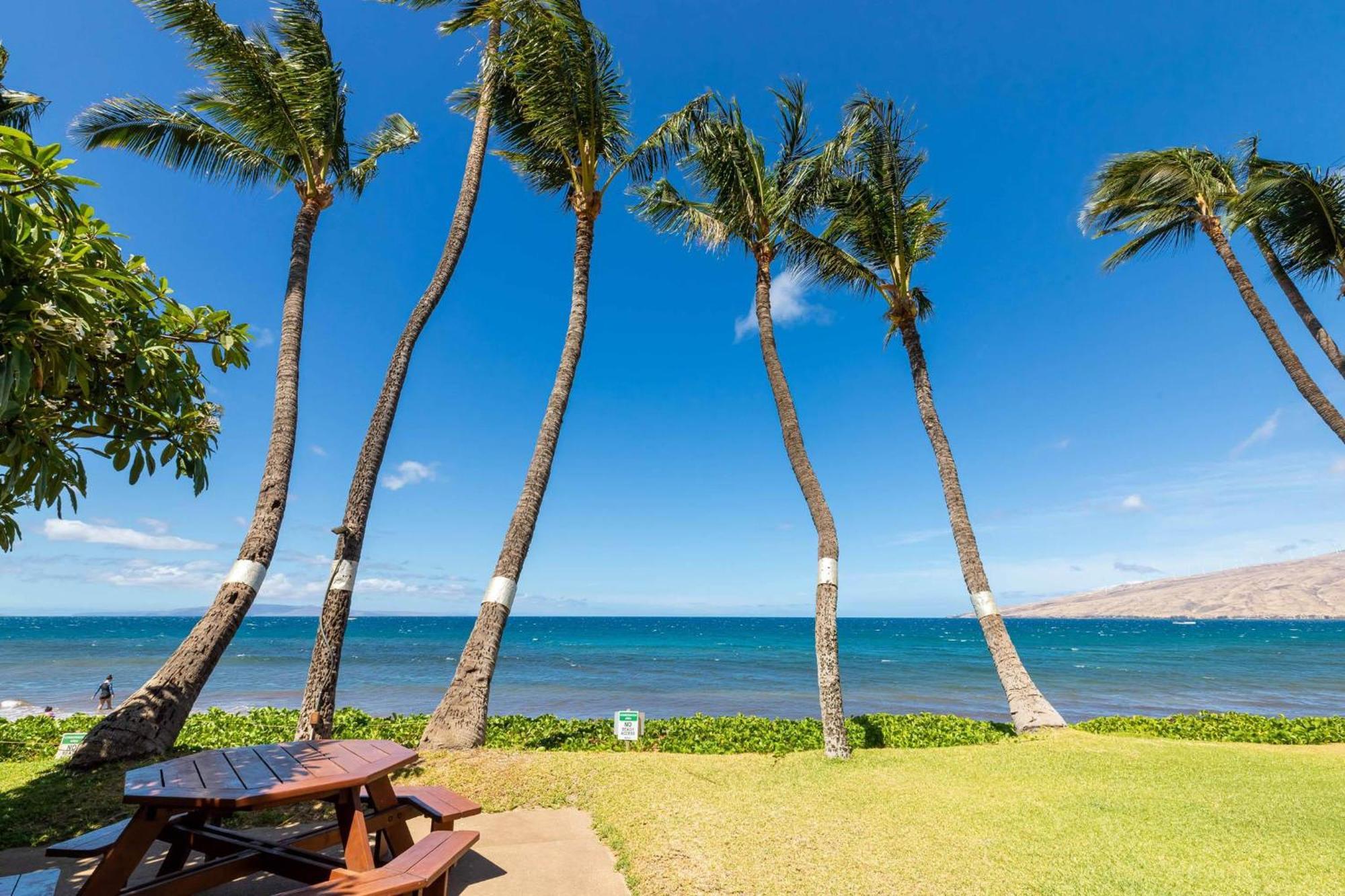 Kealia Resort 203 Kihei Bagian luar foto